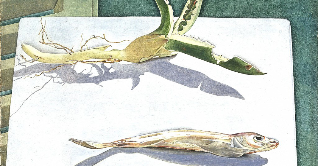 Lucian Freud, Still Life with Aloe